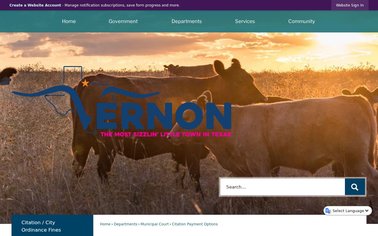 Vernon municipal warrant records, city court citation payment options